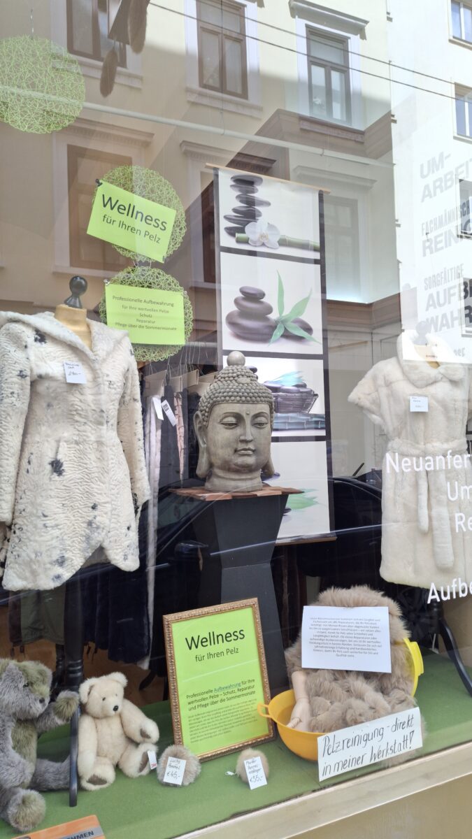 Schaufenster einer Wiener Pelzwerkstatt mit zwei hellen Pelzmänteln auf Schaufensterpuppen, einem Buddha-Kopf als Dekoration und Wellness-Postern. Die Schilder im Fenster bewerben professionelle Pelzreinigung, fachgerechte Reparaturen sowie die Aufbewahrung und Pflege von Pelzen über die Sommermonate